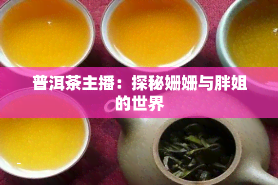 普洱茶主播：探秘姗姗与胖姐的世界