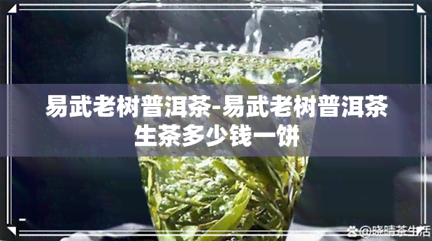 易武老树普洱茶-易武老树普洱茶生茶多少钱一饼