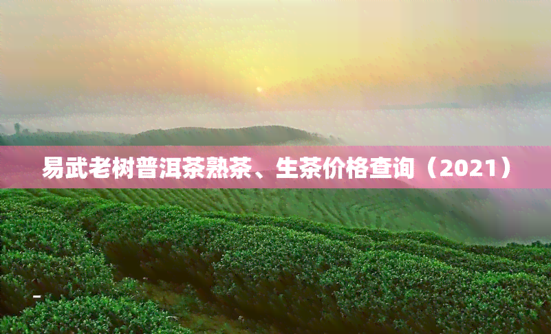 易武老树普洱茶熟茶、生茶价格查询（2021）