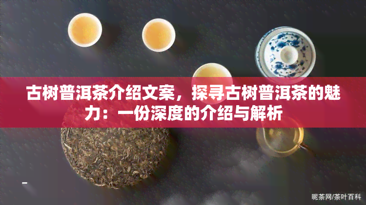 古树普洱茶介绍文案，探寻古树普洱茶的魅力：一份深度的介绍与解析