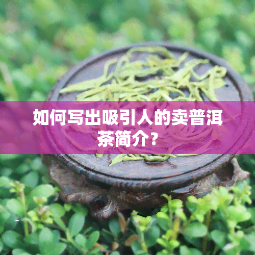 如何写出吸引人的卖普洱茶简介？