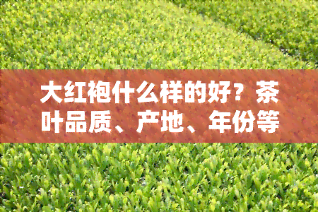 大红袍什么样的好？茶叶品质、产地、年份等因素如何影响其口感与价值