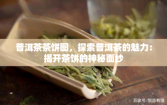 普洱茶茶饼图，探索普洱茶的魅力：揭开茶饼的神秘面纱