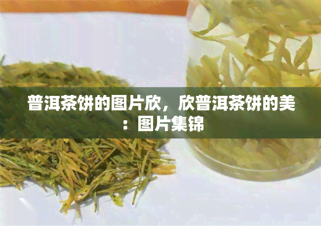 普洱茶饼的图片欣，欣普洱茶饼的美：图片集锦