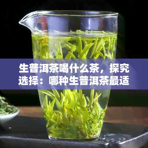 生普洱茶喝什么茶，探究选择：哪种生普洱茶最适合您饮用？