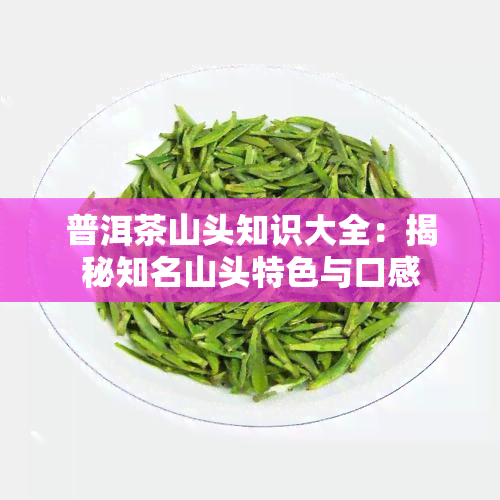 普洱茶山头知识大全：揭秘知名山头特色与口感