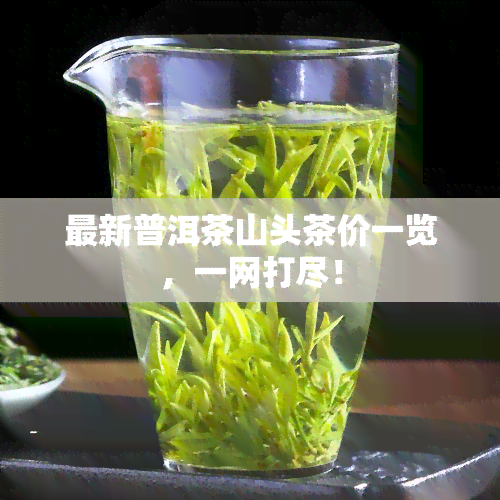 最新普洱茶山头茶价一览，一网打尽！