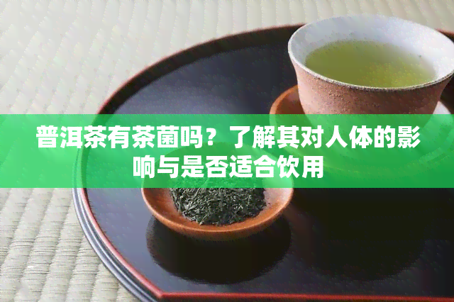 普洱茶有茶菌吗？了解其对人体的影响与是否适合饮用