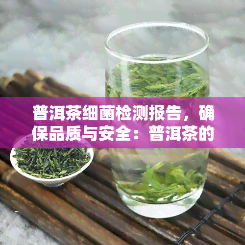 普洱茶细菌检测报告，确保品质与安全：普洱茶的细菌检测报告解读