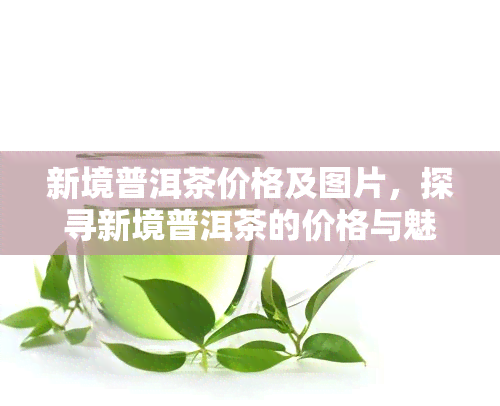 新境普洱茶价格及图片，探寻新境普洱茶的价格与魅力：精美图片展示