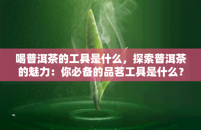 喝普洱茶的工具是什么，探索普洱茶的魅力：你必备的品茗工具是什么？