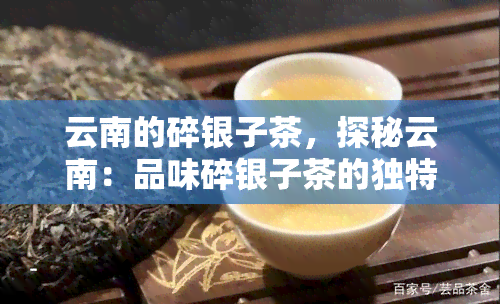 云南的碎银子茶，探秘云南：品味碎银子茶的独特魅力