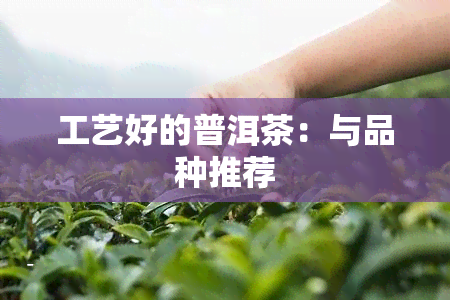 工艺好的普洱茶：与品种推荐