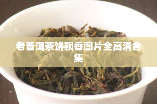 老普洱茶饼飘香图片全高清合集