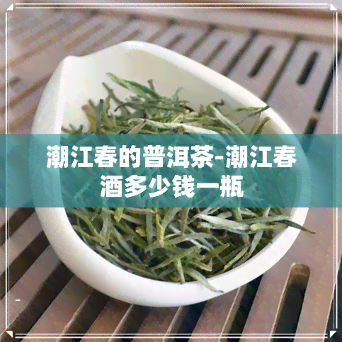 潮江春的普洱茶-潮江春酒多少钱一瓶