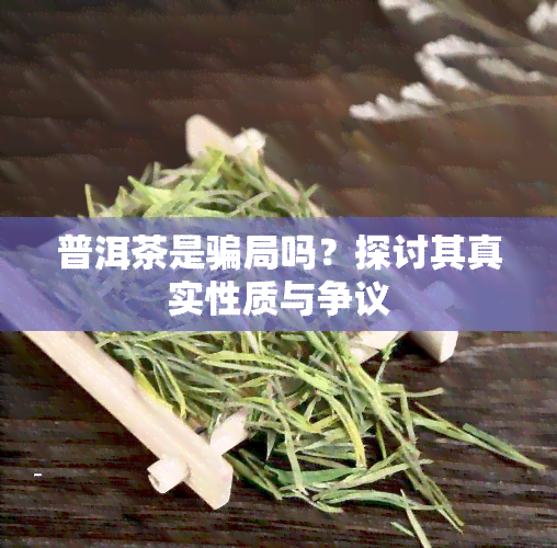 普洱茶是骗局吗？探讨其真实性质与争议