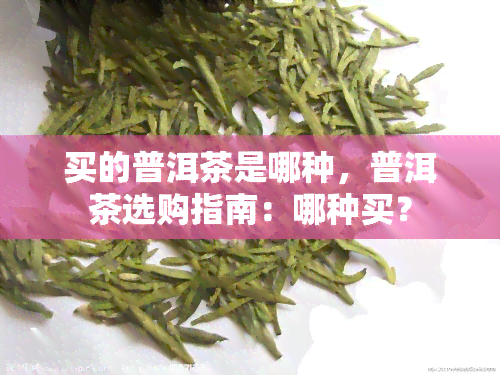 买的普洱茶是哪种，普洱茶选购指南：哪种买？