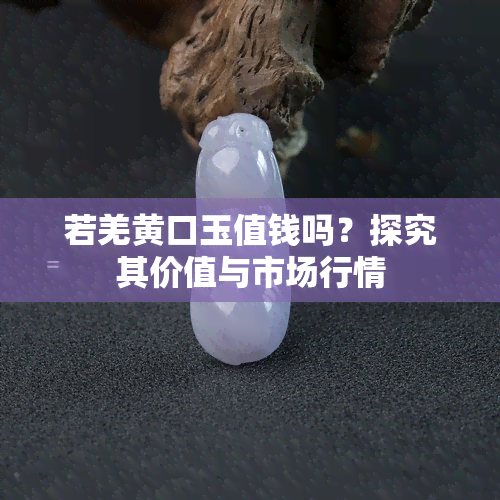 若羌黄口玉值钱吗？探究其价值与市场行情