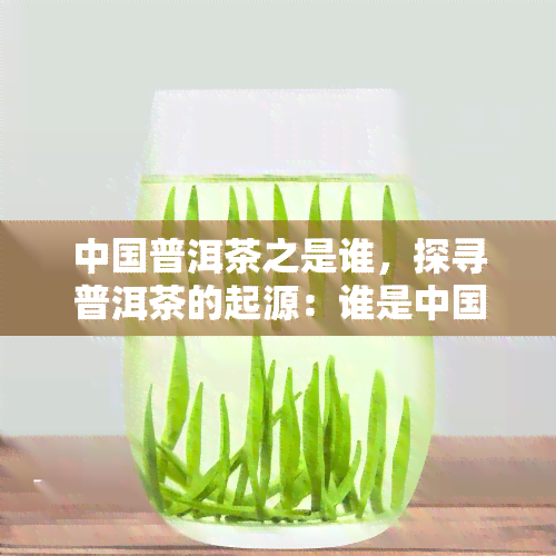 中国普洱茶之是谁，探寻普洱茶的起源：谁是中国普洱茶之？