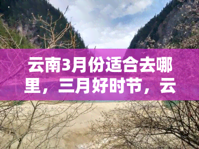 云南3月份适合去哪里，三月好时节，云南旅游胜地推荐