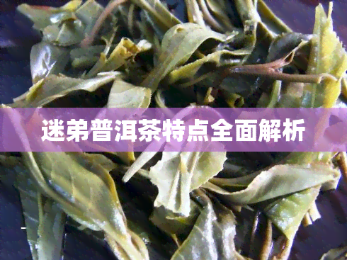 迷弟普洱茶特点全面解析