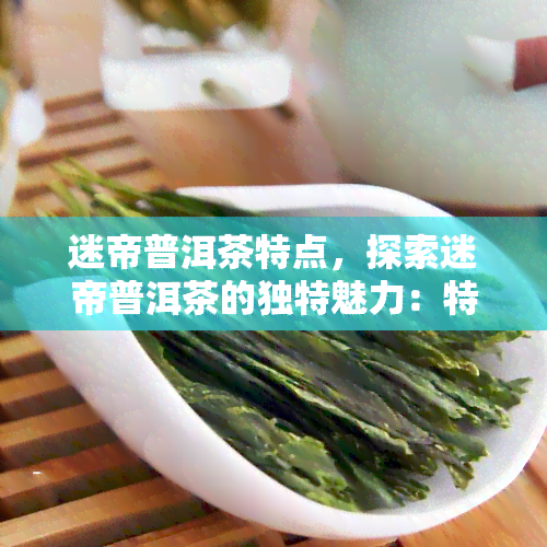 迷帝普洱茶特点，探索迷帝普洱茶的独特魅力：特点解析