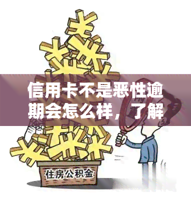 信用卡不是恶性逾期会怎么样，了解信用卡逾期：恶性与非恶性逾期的区别及影响