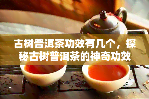 古树普洱茶功效有几个，探秘古树普洱茶的神奇功效，你知道几个？