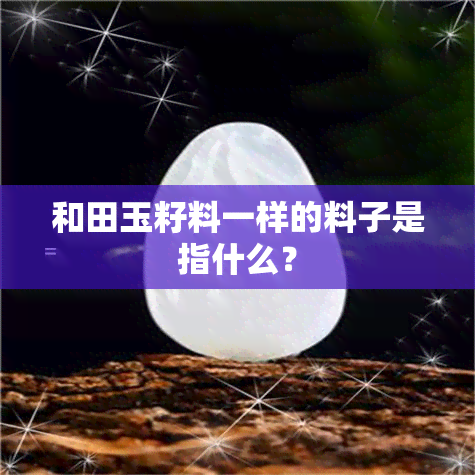 和田玉籽料一样的料子是指什么？