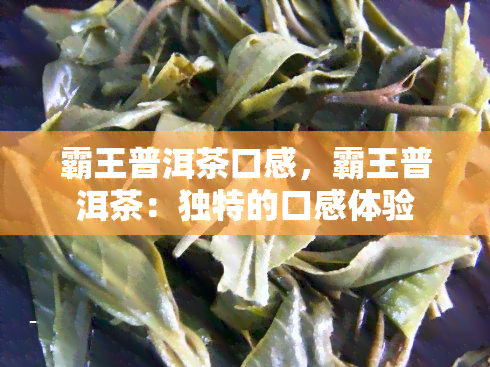 霸王普洱茶口感，霸王普洱茶：独特的口感体验