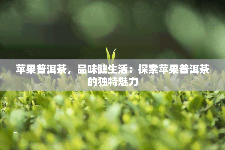 苹果普洱茶，品味健生活：探索苹果普洱茶的独特魅力