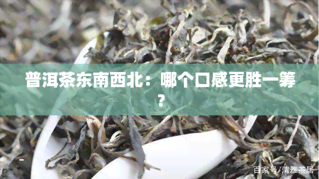 普洱茶东南西北：哪个口感更胜一筹？