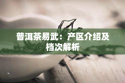 普洱茶易武：产区介绍及档次解析