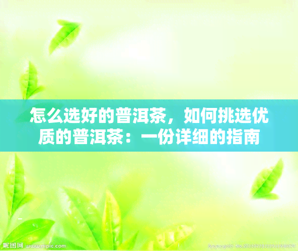 怎么选好的普洱茶，如何挑选优质的普洱茶：一份详细的指南