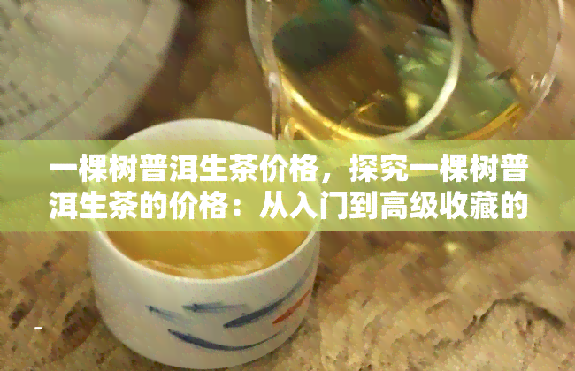 一棵树普洱生茶价格，探究一棵树普洱生茶的价格：从入门到高级收藏的全解析