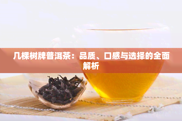 几棵树牌普洱茶：品质、口感与选择的全面解析