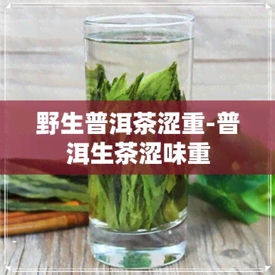 野生普洱茶涩重-普洱生茶涩味重