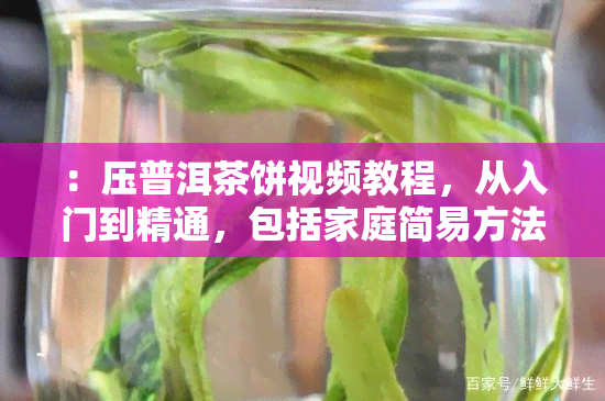 ：压普洱茶饼视频教程，从入门到精通，包括家庭简易方法