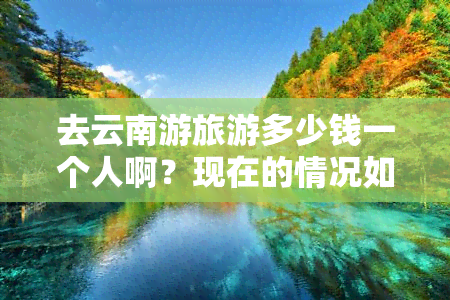 去云南游旅游多少钱一个人啊？现在的情况如何？