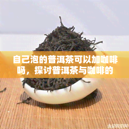 自己泡的普洱茶可以加咖啡吗，探讨普洱茶与咖啡的完美结合：自己泡的普洱茶能否加入咖啡？