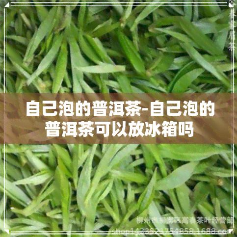 自己泡的普洱茶-自己泡的普洱茶可以放冰箱吗