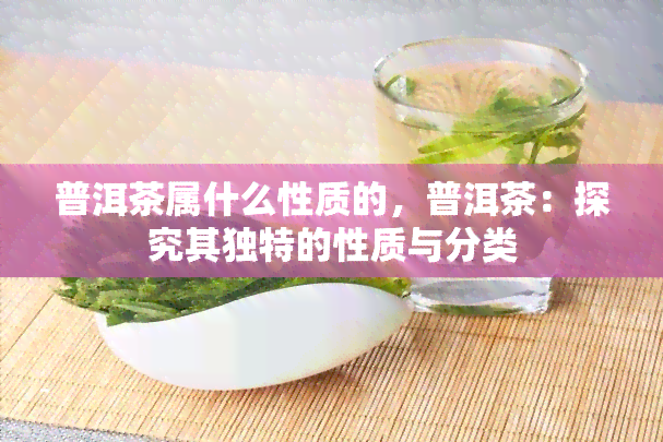 普洱茶属什么性质的，普洱茶：探究其独特的性质与分类