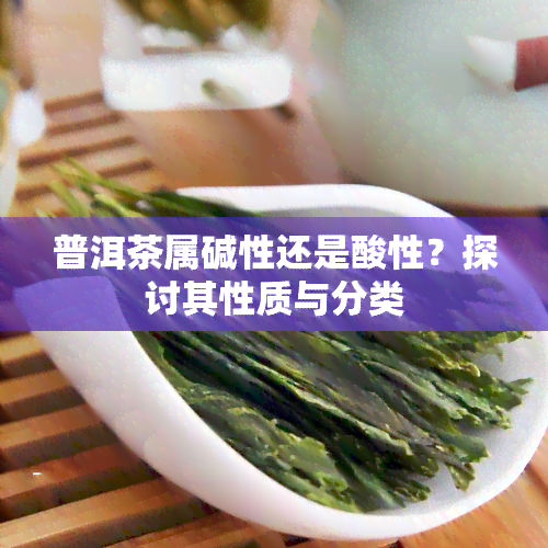 普洱茶属碱性还是酸性？探讨其性质与分类