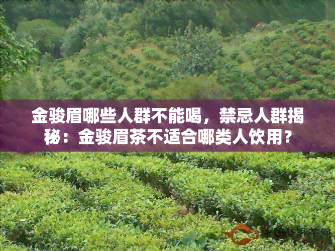 金骏眉哪些人群不能喝，禁忌人群揭秘：金骏眉茶不适合哪类人饮用？