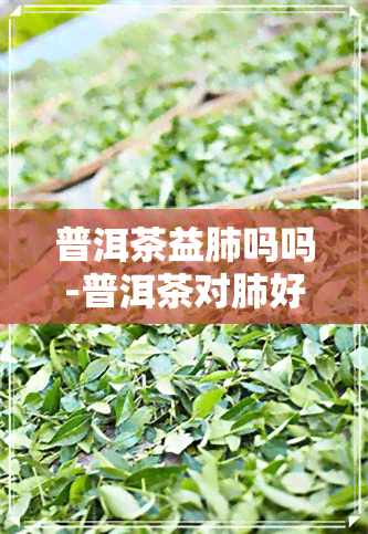 普洱茶益肺吗吗-普洱茶对肺好吗