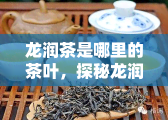 龙润茶是哪里的茶叶，探秘龙润茶：产地、品质与口感全解析