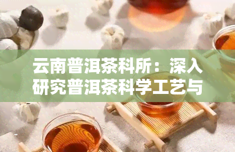 云南普洱茶科所：深入研究普洱茶科学工艺与制作技艺