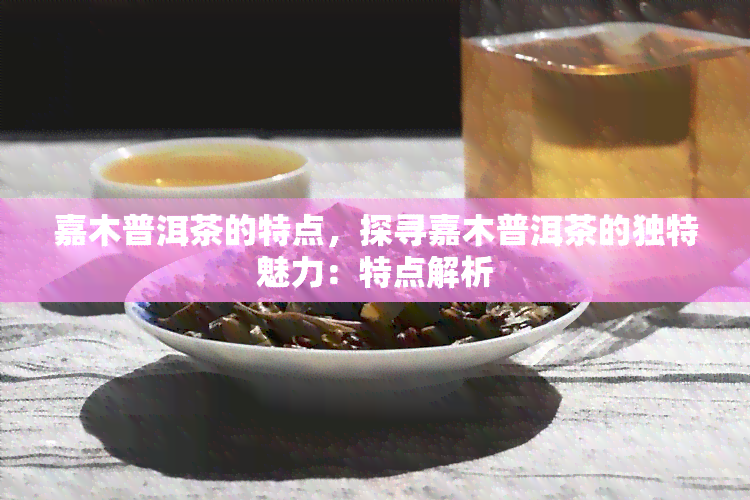 嘉木普洱茶的特点，探寻嘉木普洱茶的独特魅力：特点解析