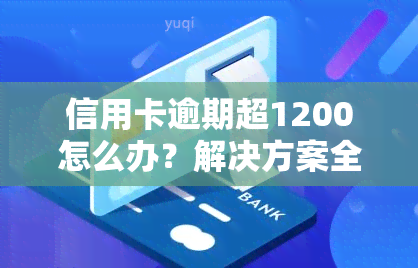 信用卡逾期超1200怎么办？解决方案全在这里！