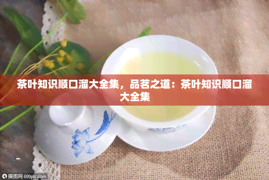 茶叶知识顺口溜大全集，品茗之道：茶叶知识顺口溜大全集